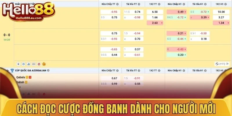 Kèo Chấp Đồng Banh - Cách Đọc Và Phân Tích Kèo Chuẩn 3 Cách đọc cược đồng banh dành cho người mới
