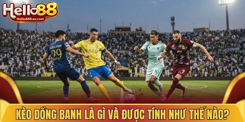 Kèo Chấp Đồng Banh - Cách Đọc Và Phân Tích Kèo Chuẩn 2 Kèo đồng banh là gì và được tính như thế nào?